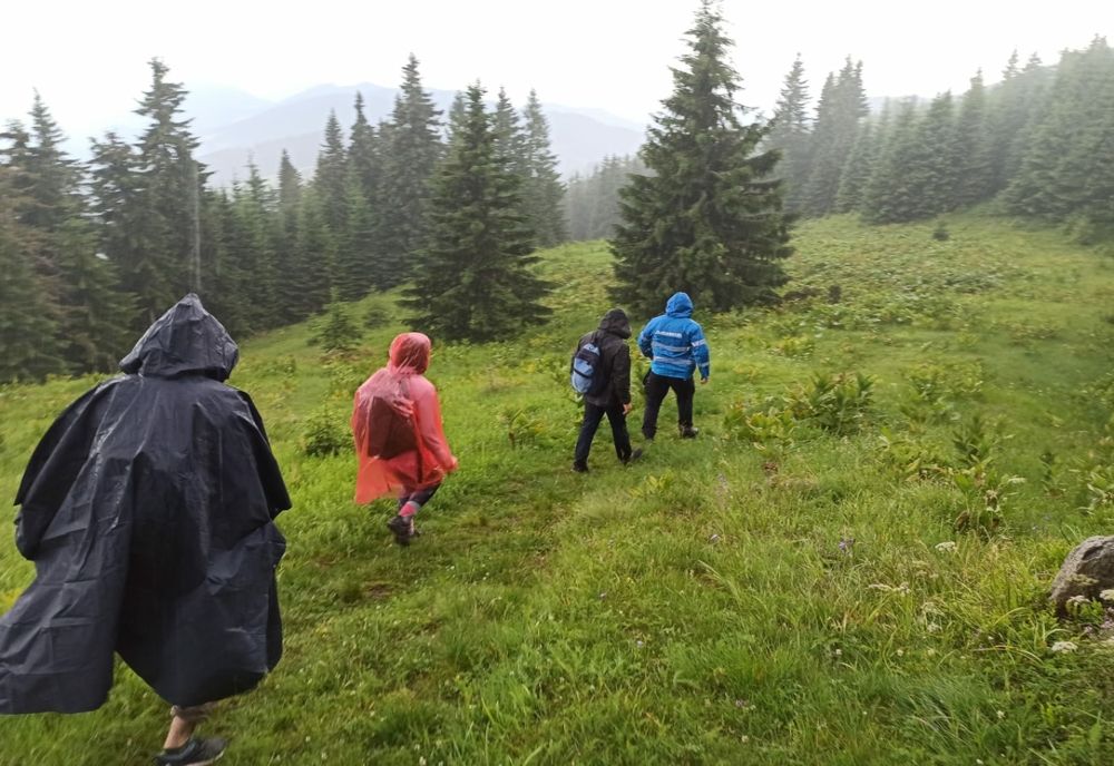 Drumeție de weekend cu peripeții! Trei bistrițeni au dat nas în nas cu un urs