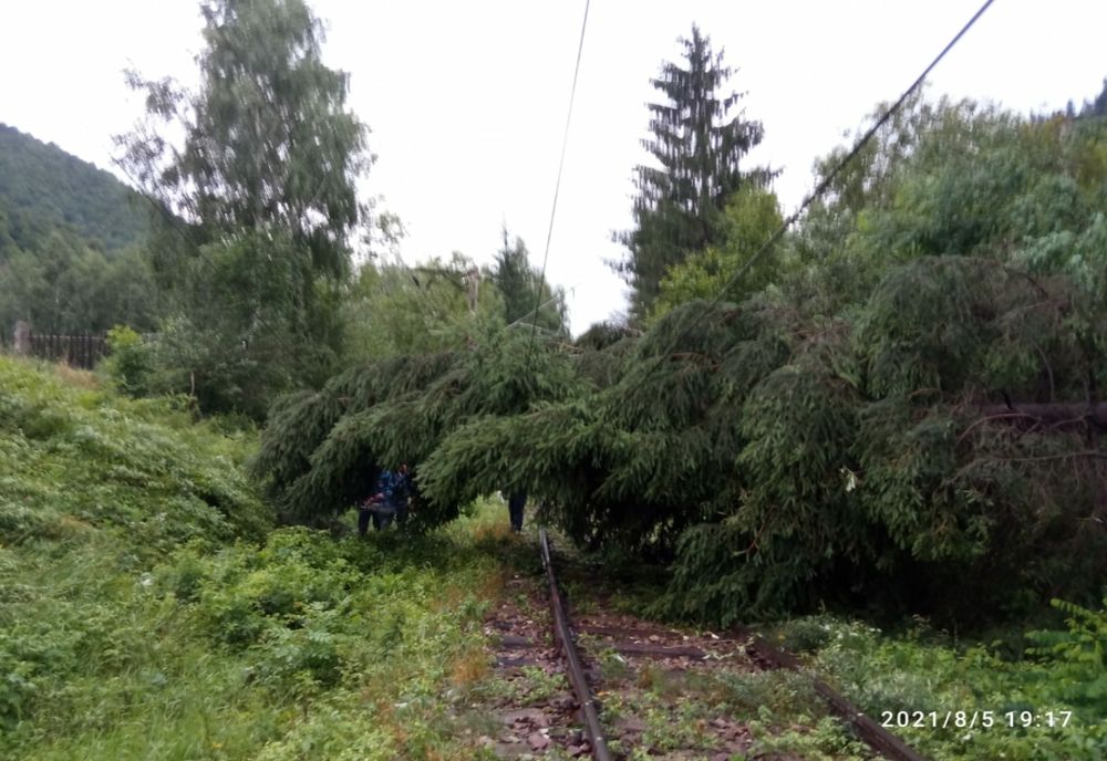 Efectele furtunilor de COD ROȘU care s-au abătut asupra județului Bistrița-Năsăud! Mai mulți copaci, doborâți de vânt, iar un tânăr a fost rănit de o grindă