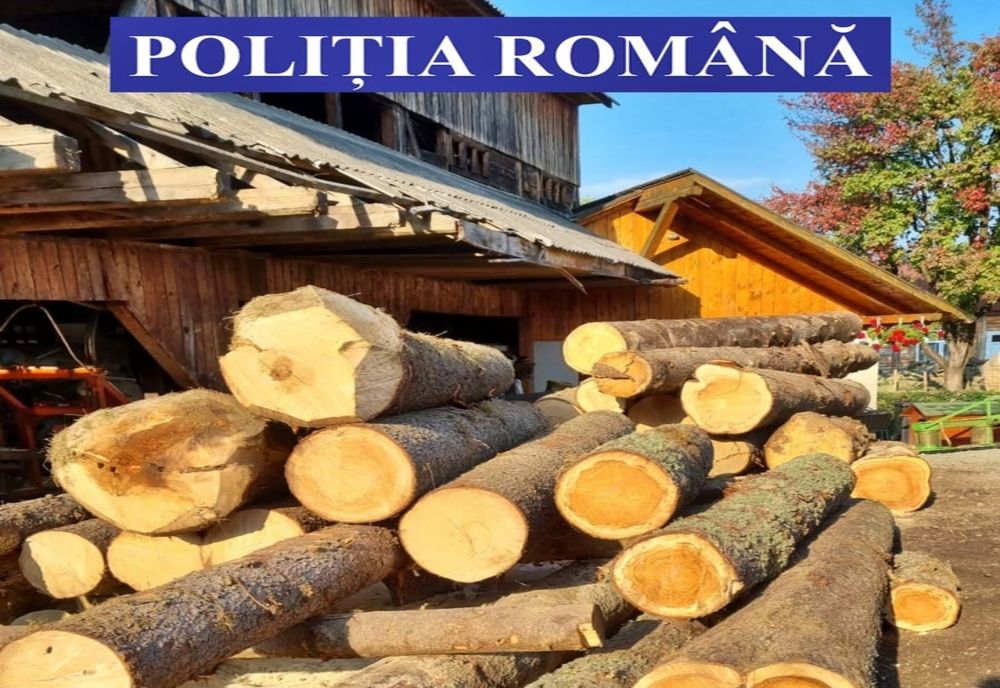 FOTO: Controale pe linie silvică în Bistrița-Năsăud! Polițiștii au aplicat amenzi de 18.000 lei și au confiscat lemn în valoare de peste 13.000 lei