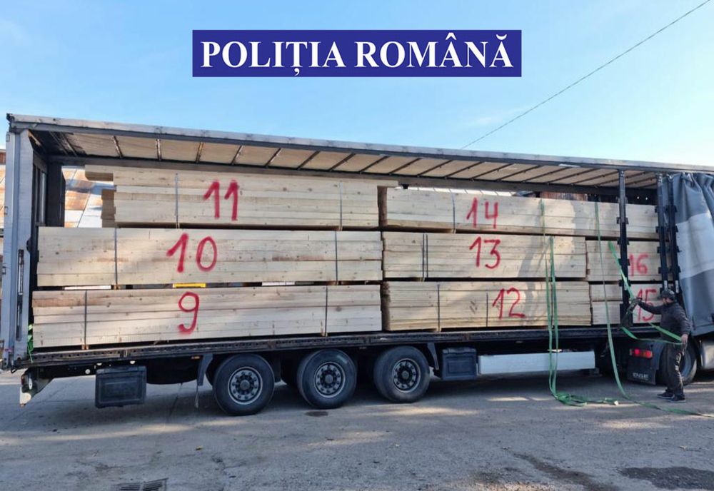 VIDEO: Bărbat din Bistrița-Năsăud, prins cu mașina burdușită de material lemnos! Ce i-au făcut polițiștii