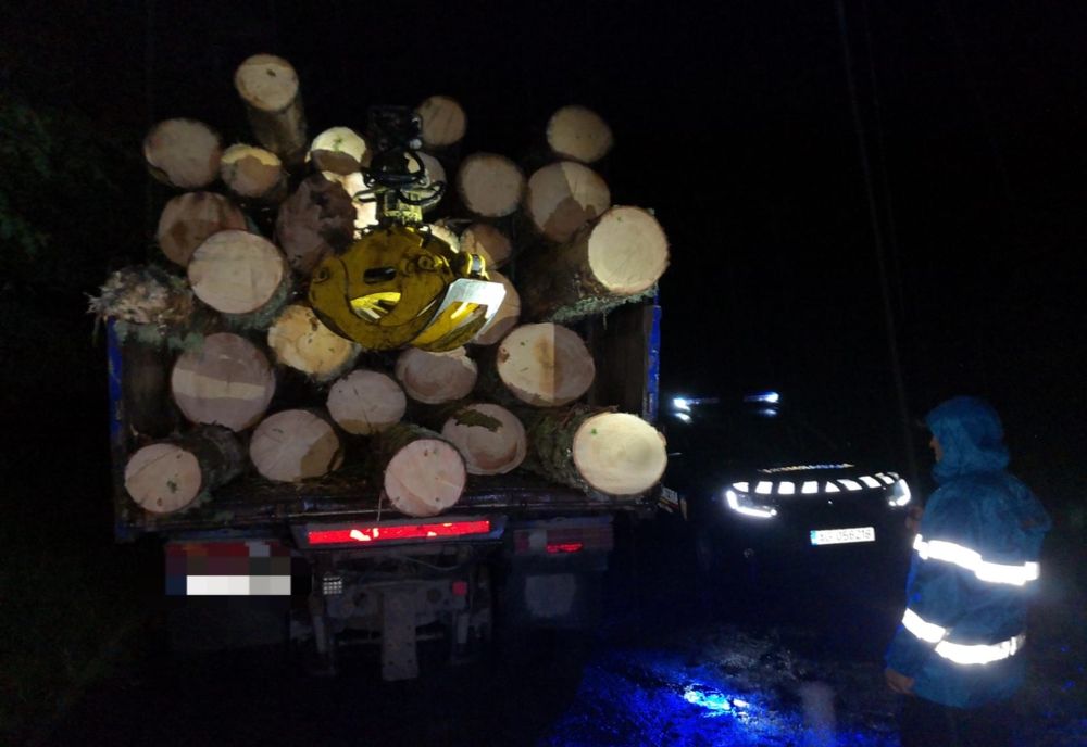 Controale pe linie silvică în Bistrița-Năsăud! Ce sancțiuni au fost aplicate