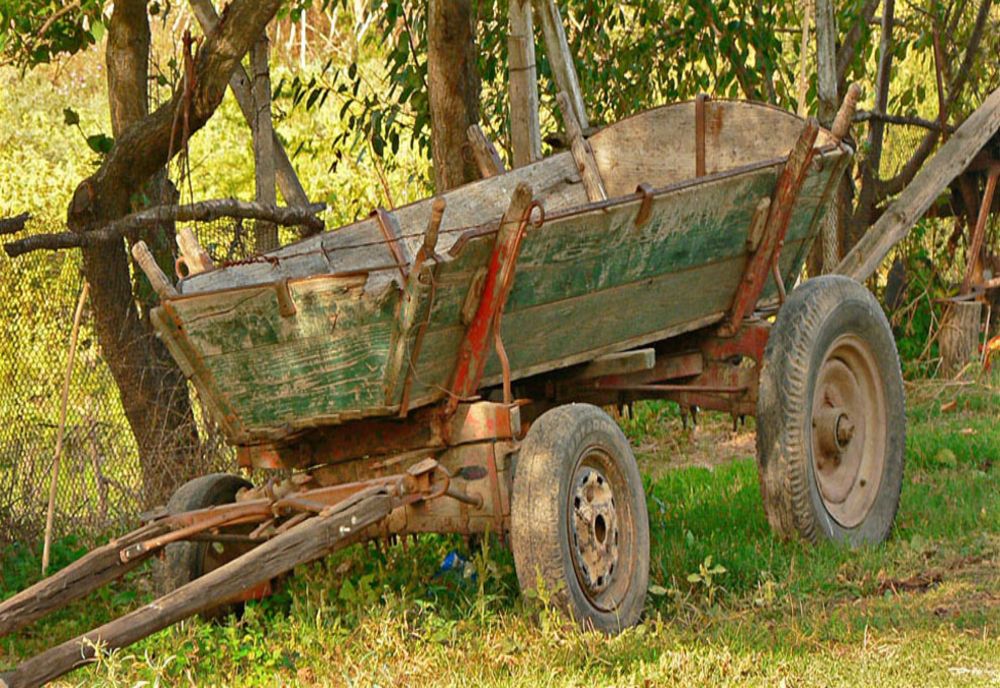 Bărbat din Feldru, găsit mort sub un atelaj hipo, pe un teren viran