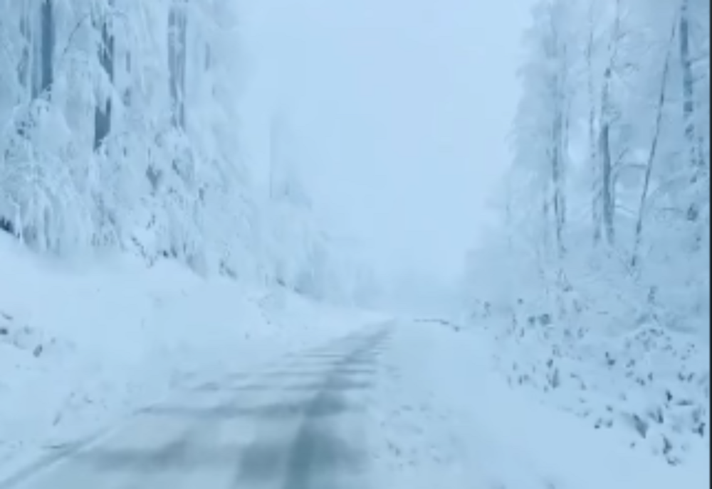 Fenomene meteo EXTREME, în România: cod galben de ninsori, vânt puternic și polei