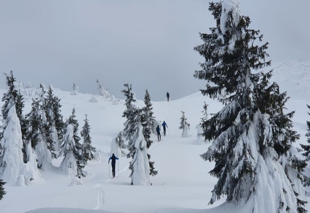 Activitățile de pregătire profesională, o prioritate a jandarmilor montani bistrițeni și în anotimpul rece