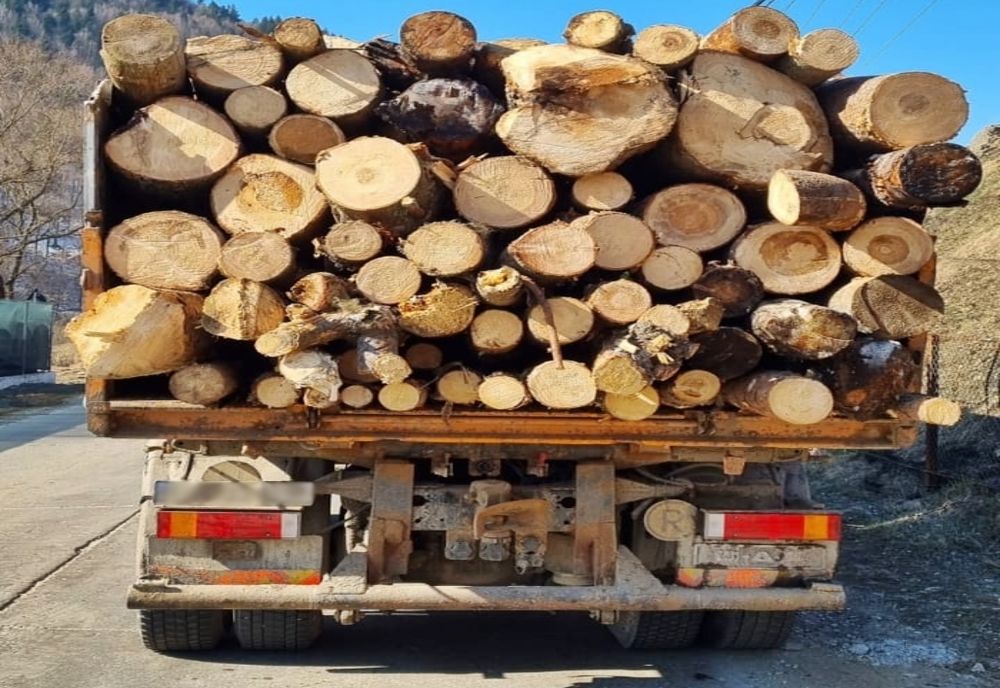 Controale de amploare pe linie silvică derulate de polițiștii din Bistrița-Năsăud! Ce sancțiuni au fost aplicate