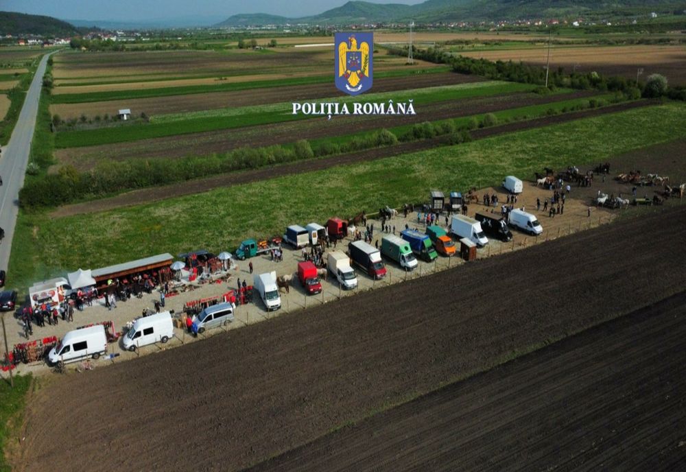 VIDEO: Târg de cai ilegal, la Sărățel! Ce sancțiuni au fost aplicate de polițiștii de la Protecția Animalelor