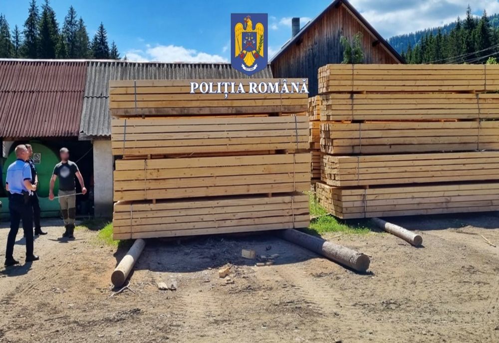 Material lemnos de peste 10.000 lei, confiscat de polițiști, plus amenzi de 9.000 lei pentru alte nereguli