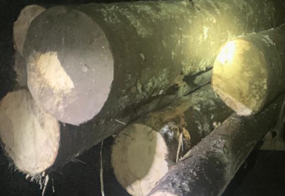 Amendă de 4.000 lei și lemn în valoare de circa 1.400 lei, transportat ilegal, confiscat de jandarmii montani din Colibița