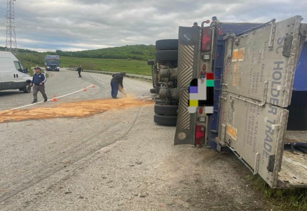 Zeci de oi, moarte după ce camionul în care erau transportate s-a răsturnat