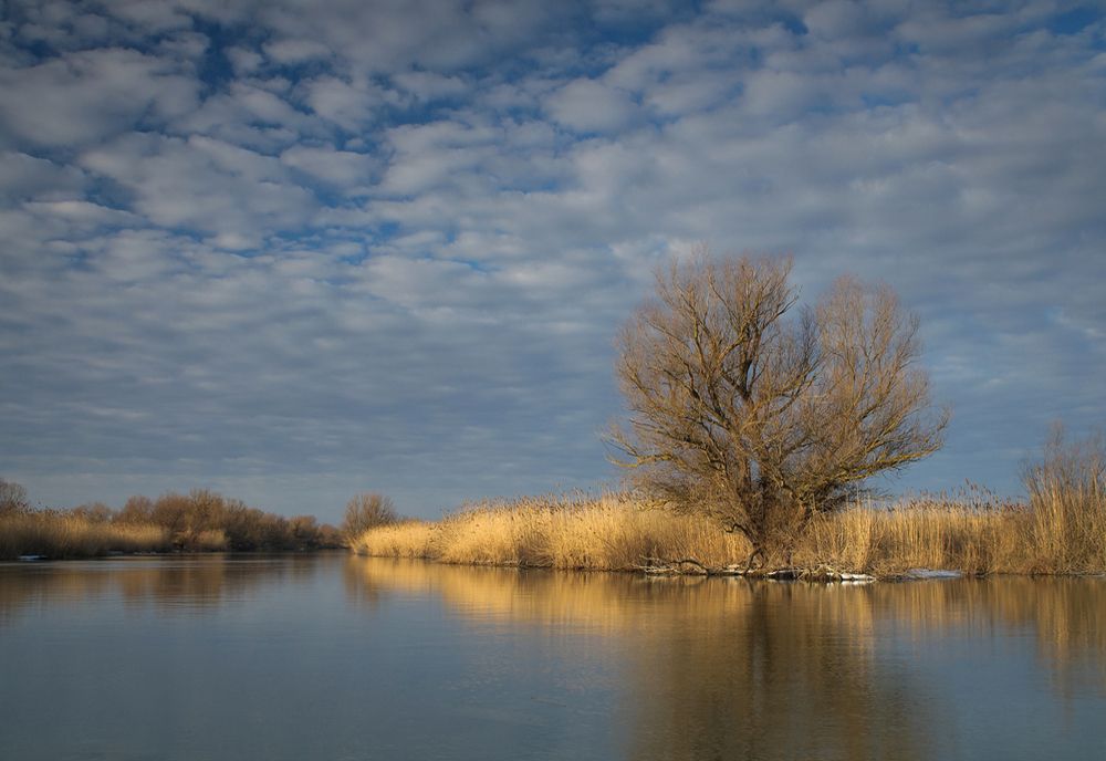 Moldova și Delta Dunării, în topul cu cea mai bună mâncare din lume