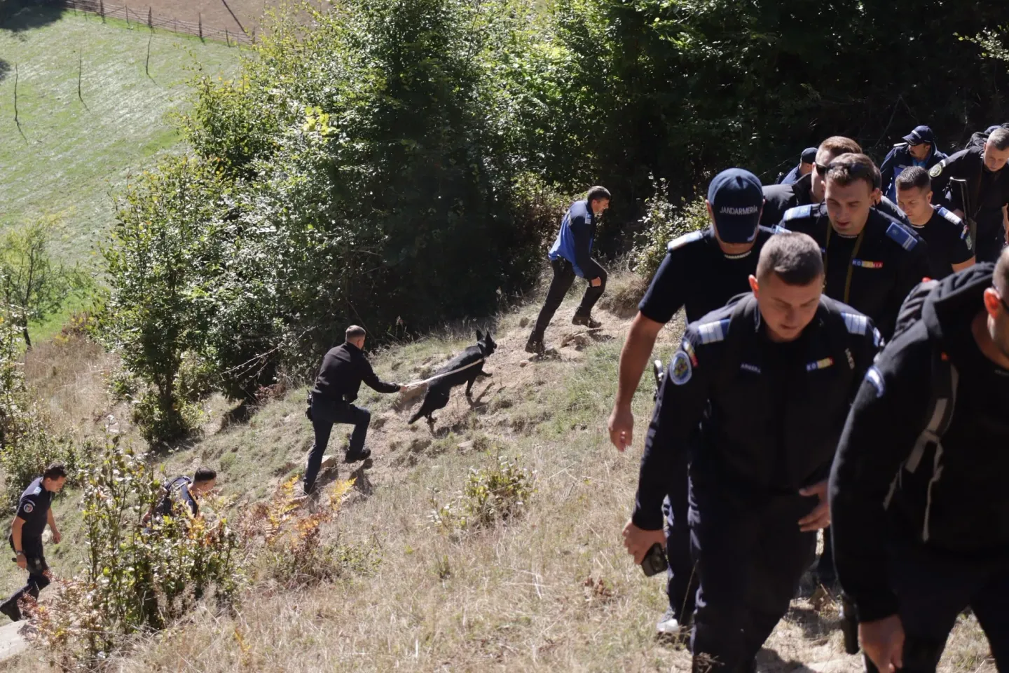 Mobilizare pentru găsirea tânărului cioban din Bistrița-Năsăud: sute de salvatori, câini de urmă și drone îl caută pe Ionuț