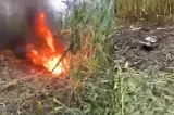 Anchetă de proporții după ce o dronă s-a prăbușit într-un lan de porumb din Suceava. Oamenii au fost îngroziți: "Tare m-am speriat"