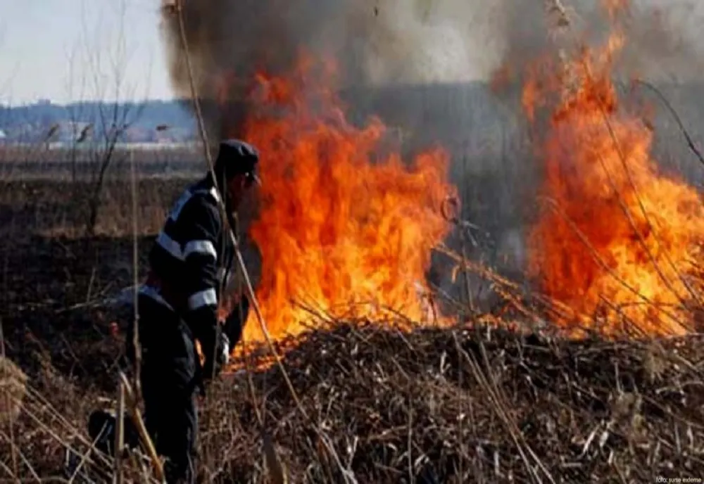 Pompierii din Bistrița-Năsăud intervin la 5 incendii de vegetație care au loc pe raza județului! Intervențiile sunt dificile
