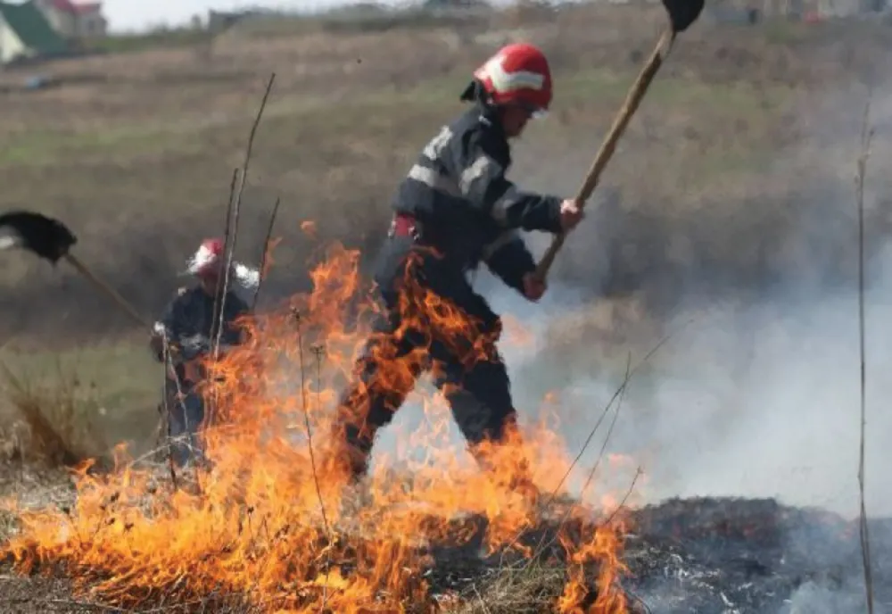 Opt dosare penale pentru distrugere, în umr aunor incendii de vegetație