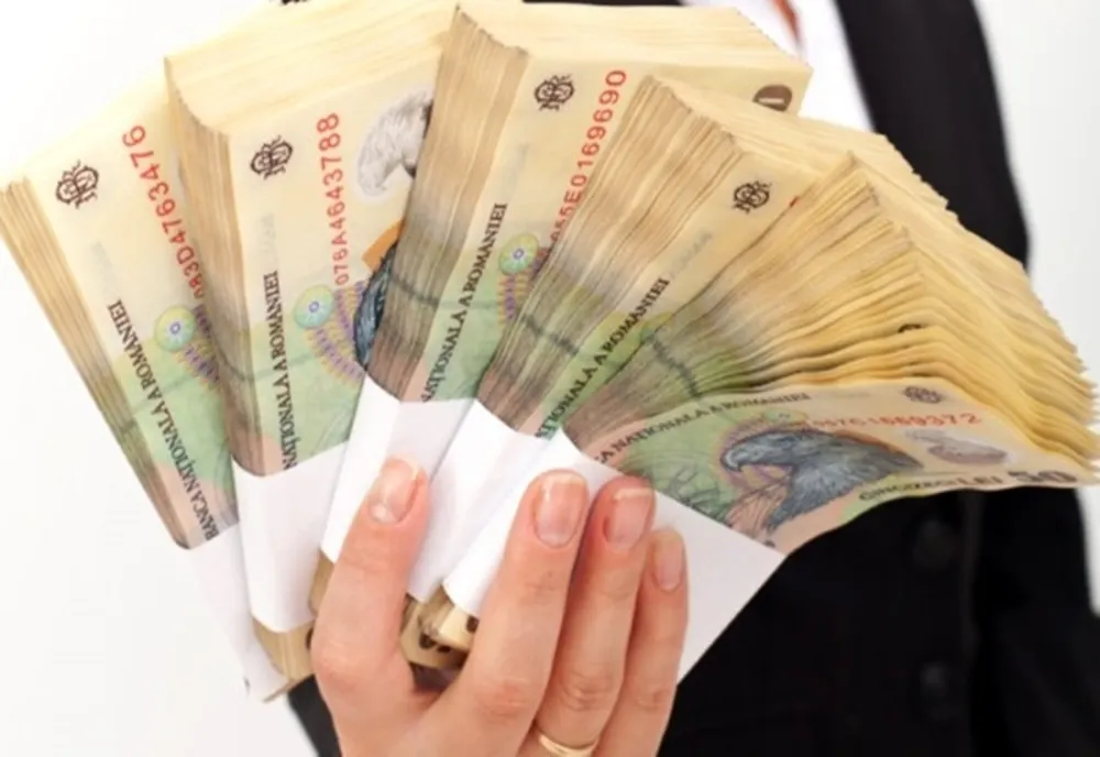 Trei firme bistrițene, implicate în obținerea nelegală de îndemnizații pentru cresterea copilului! Polițiștii au deschis dosare penale