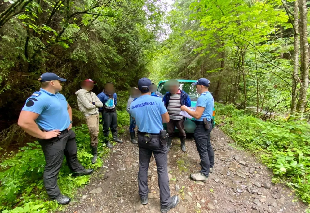 Amendați fiindcă au cules ciuperci și afine dintr-o pădure, fără aprobarea administratorului fondului cinegetic