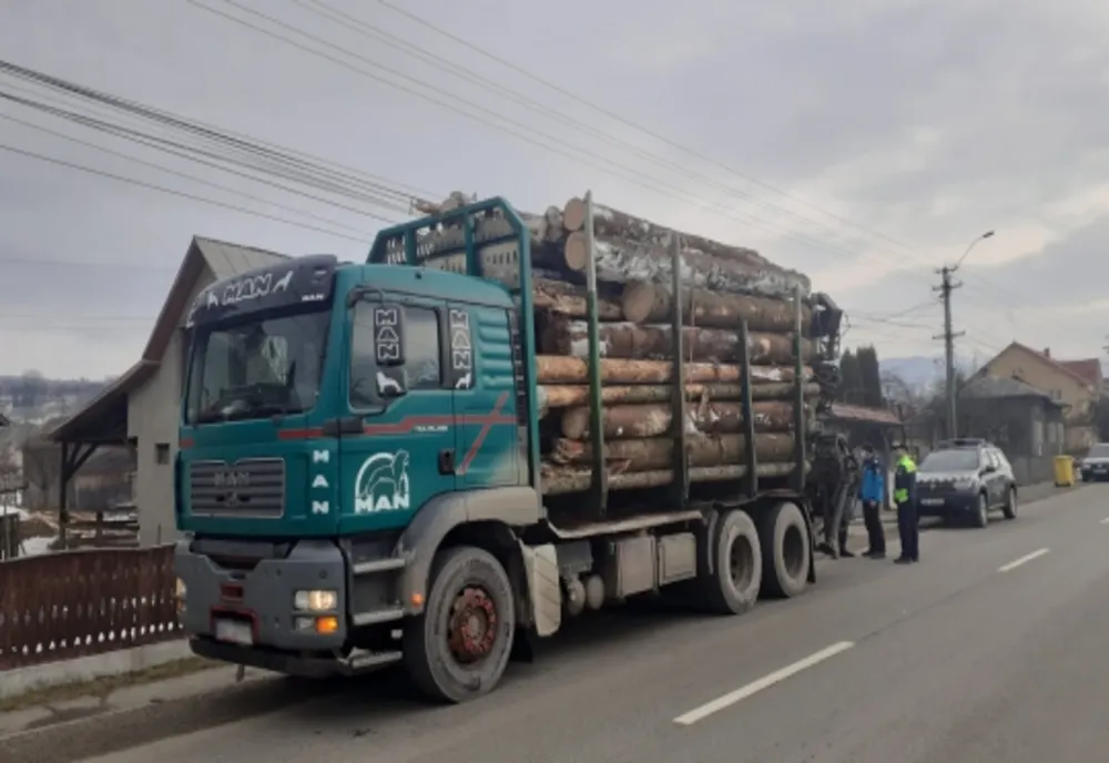 Zeci de controale și verificări pentru protejarea fondului forestier. Mai multe nereguli constatate și sancționate de polițiști
