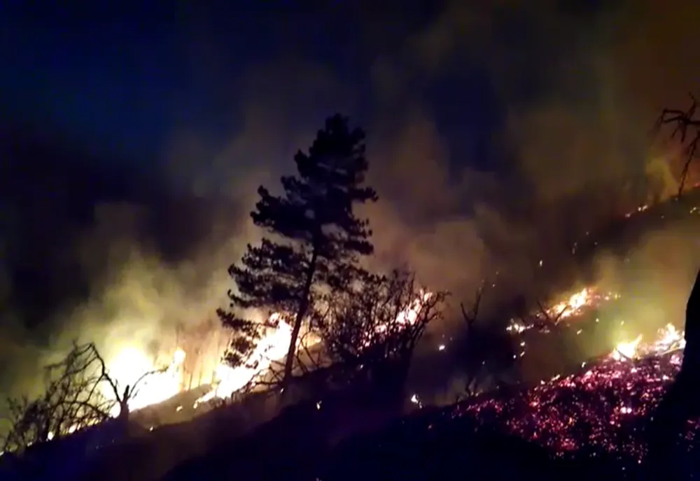 VIDEO: Incendiu de vegetație uscată, lângă comuna Nușeni