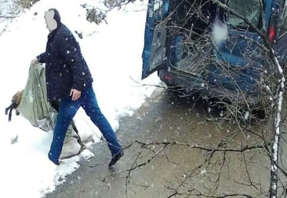 Bărbat din Năsăud, care a abandonat cadavrul unui animal pe marginea șoselei, identificat și amendat usturător