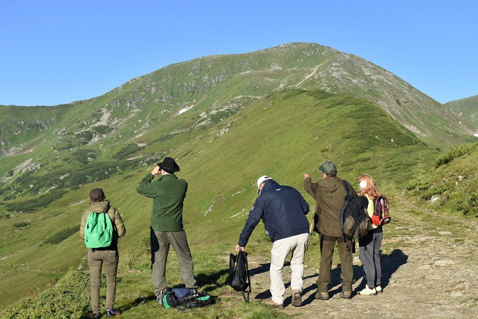 36683990_2109218582631697_5619611845187862528_n