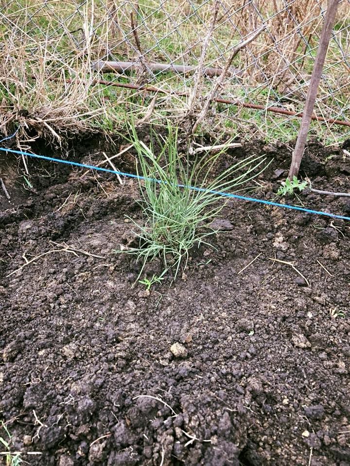 45203238_688969378149277_2516701765731090432_n