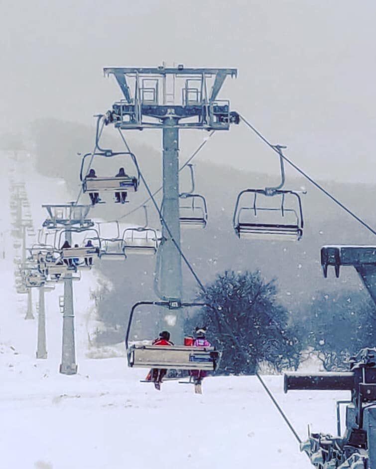 49814844_729297530783128_6092895465722871808_n (1)