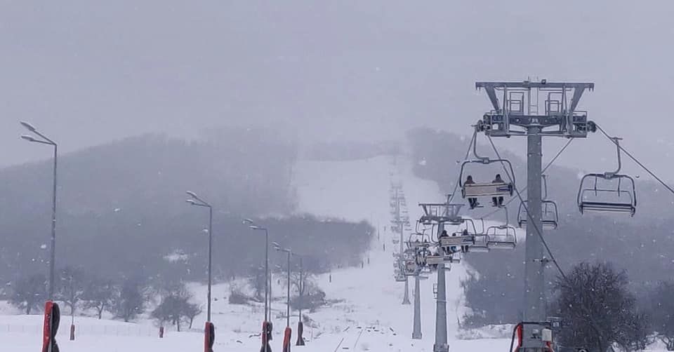 50451894_729297680783113_3364305203590332416_n