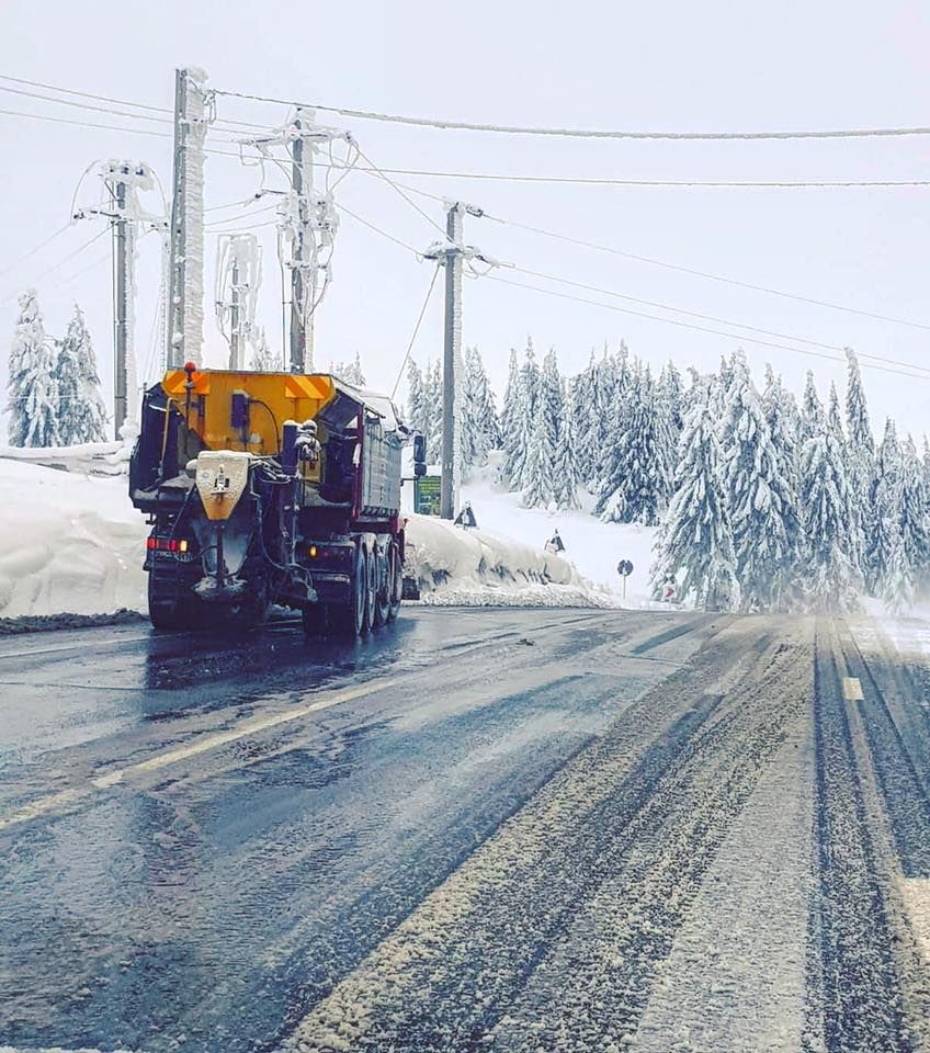 50471981_1831919523604196_8579795728992305152_n