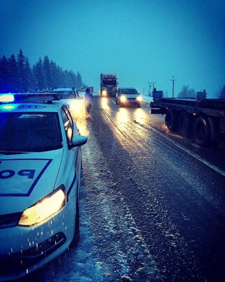 50510692_1838292082966940_5063792757248622592_n