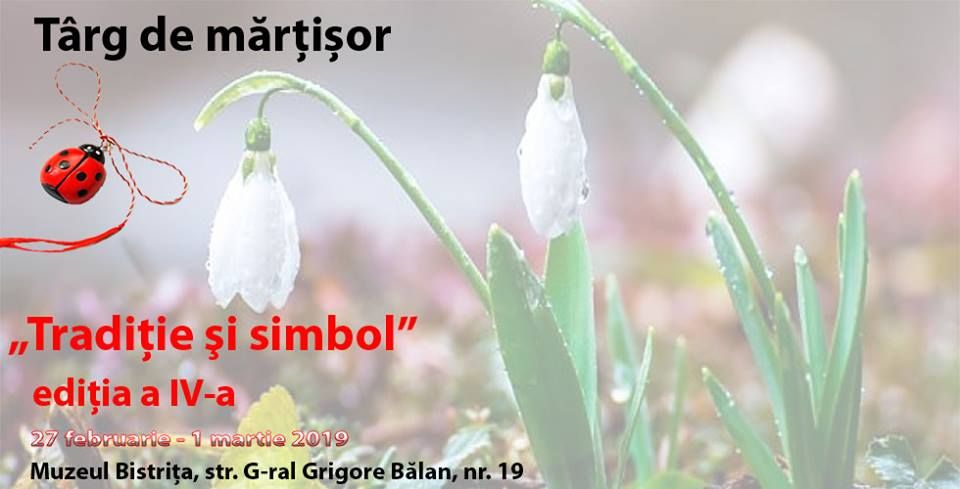 51996445_2016838925283268_6901077331507412992_n