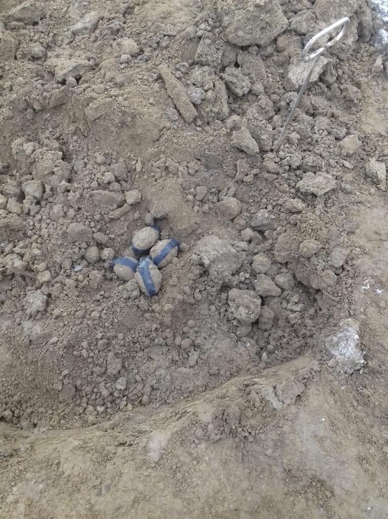 5c9a46b8-55bc-4230-b275-8c838c7da2d3