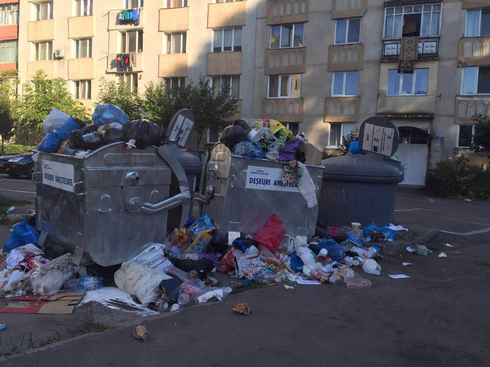 gunoaie stradale bistrita