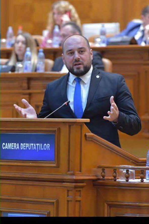 ionut simionca_pmp-bn