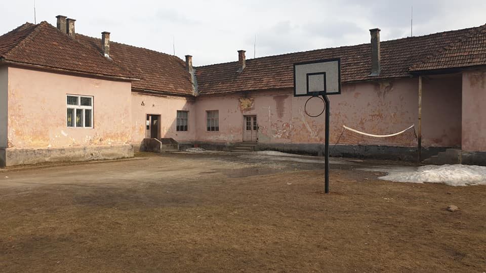 54390858_2295931050727576_610156321223737344_n