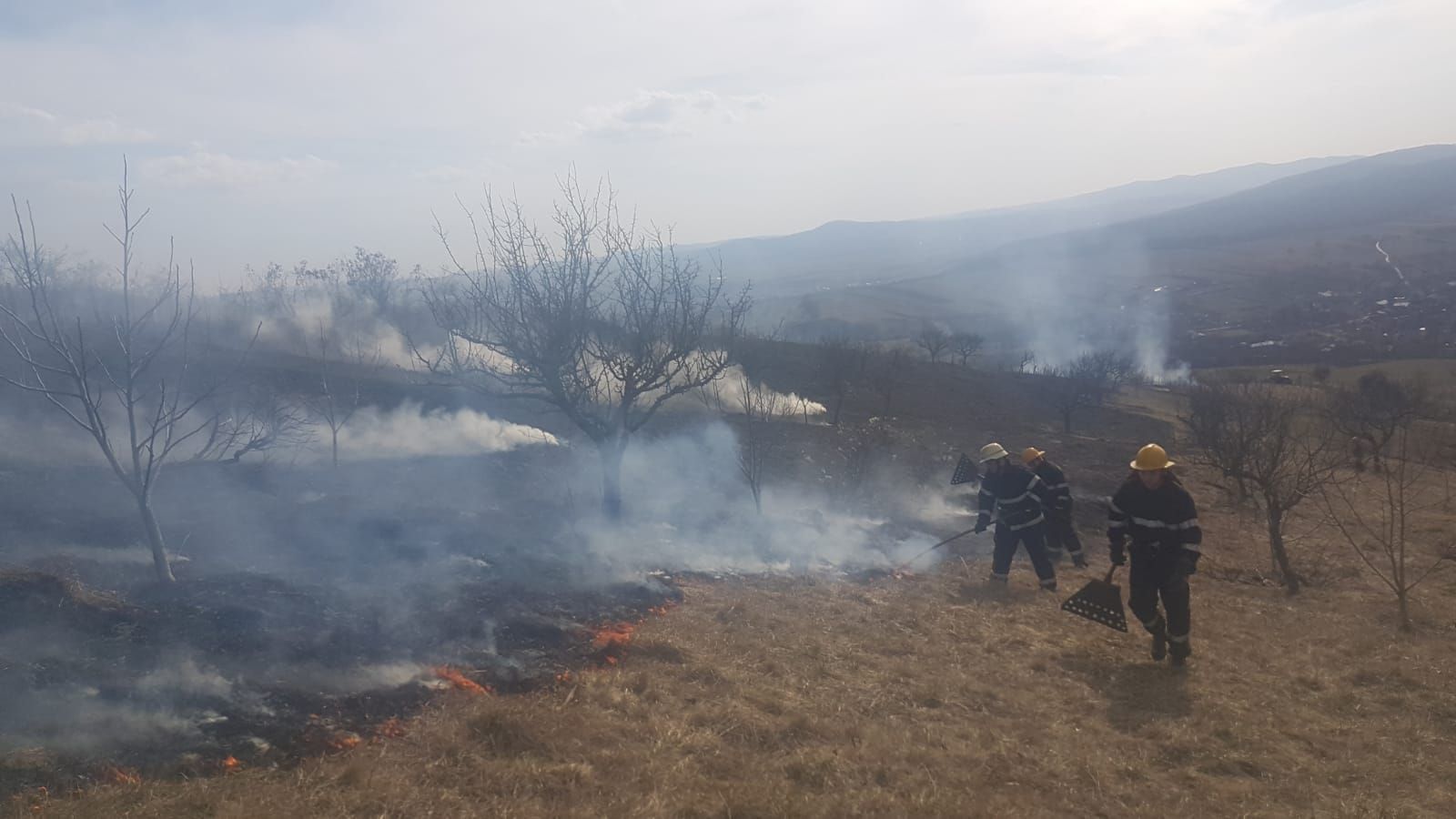 incendiu vegetatie (3)