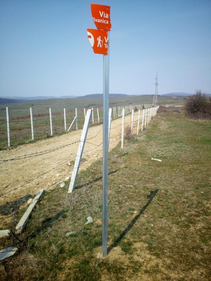 56702354_10156920080994765_1830113477818056704_n