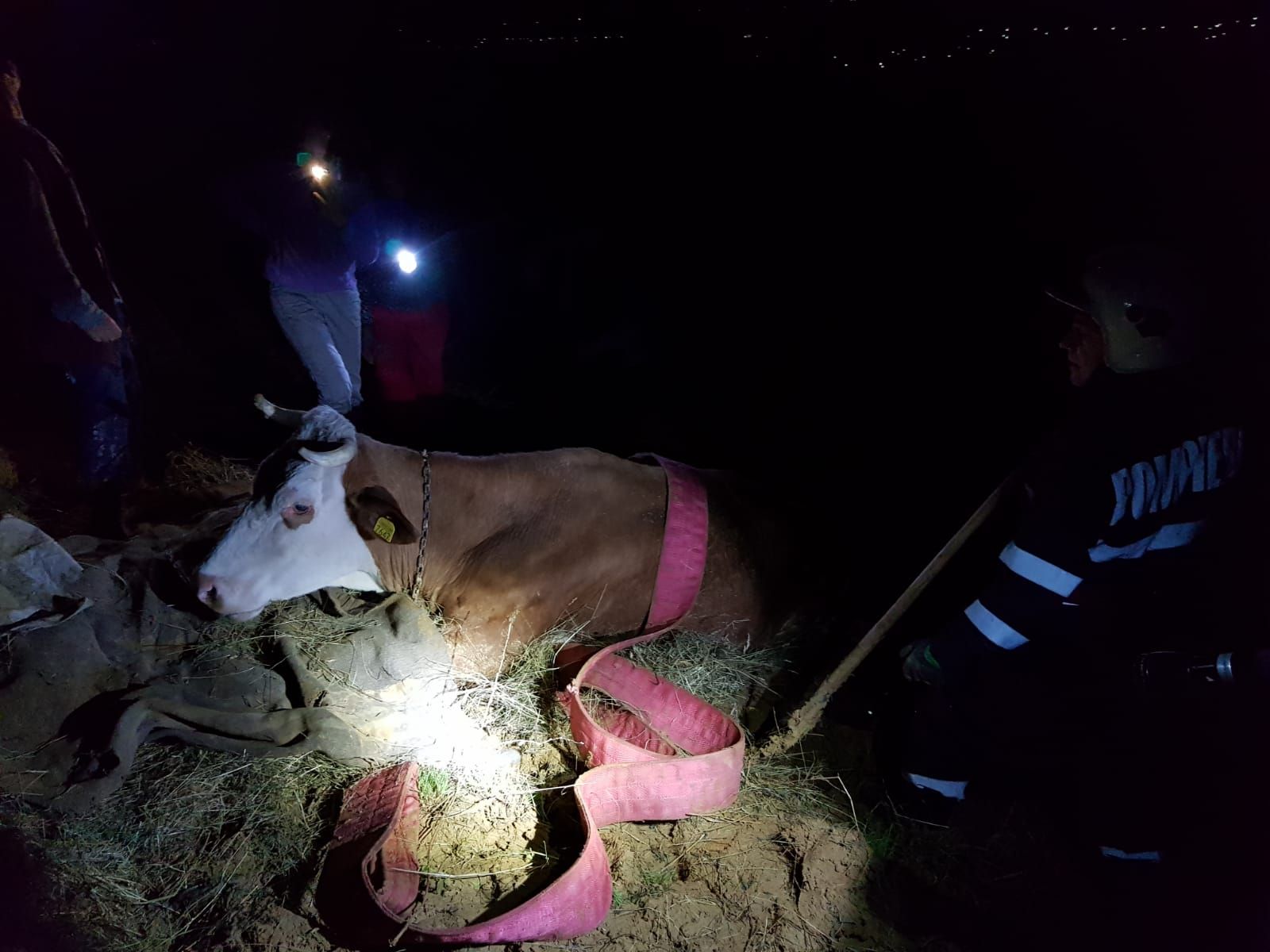 377c3d92-af05-4e61-8cfa-1b81235c6ff5