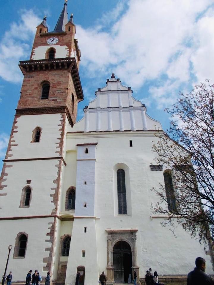 60990215_799384093774471_2365549759072043008_n