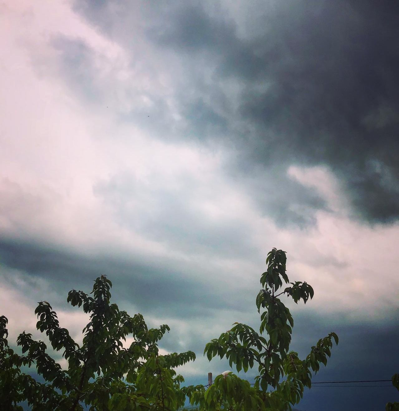 WhatsApp Image 2019-05-15 at 18.19.06