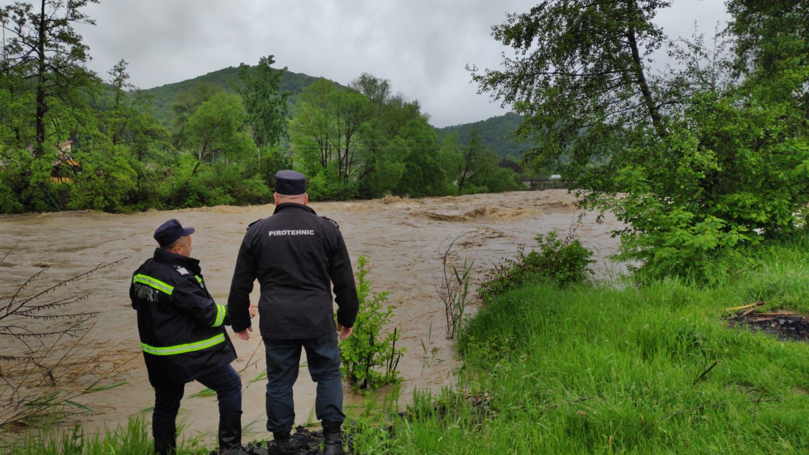 WhatsApp Image 2019-05-21 at 15.16.49