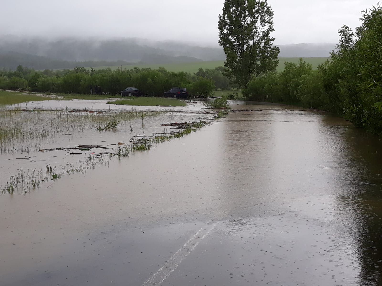 WhatsApp Image 2019-05-31 at 19.26.00