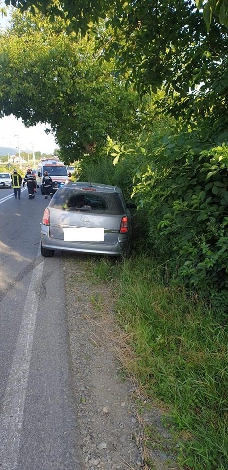 65562771_681333802315181_7339699552351420416_n