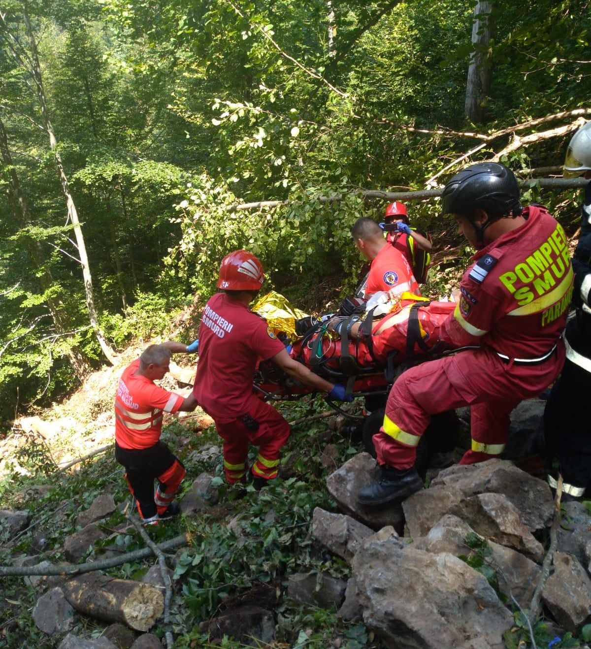 daa2eeb6-408f-4933-b093-40e3cd2f0e94