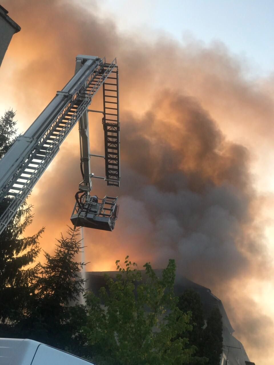 5cc13478-e61c-41ca-be59-8c75e6ceceea