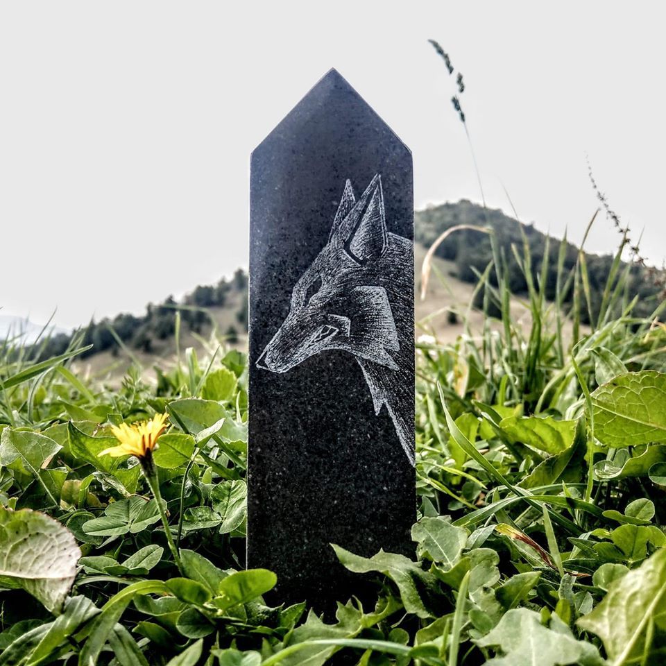 70812429_532106590665635_2212538452480622592_n