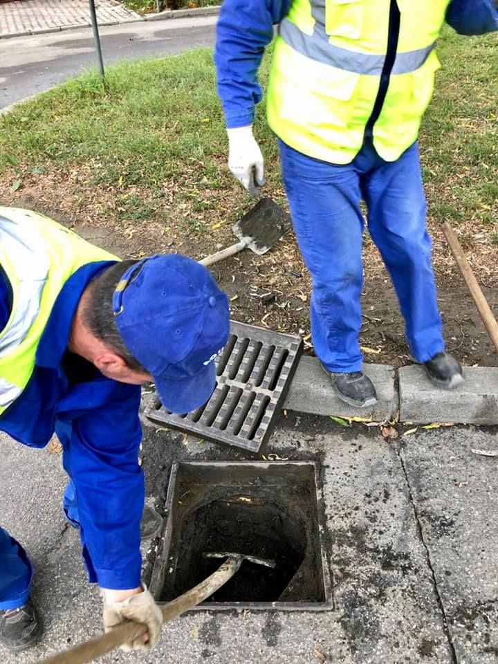 71247646_891817934531086_8538202058812030976_n