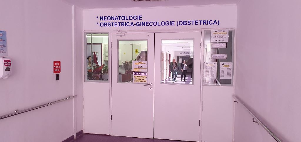 72307197_483785738877390_5864043244366594048_n