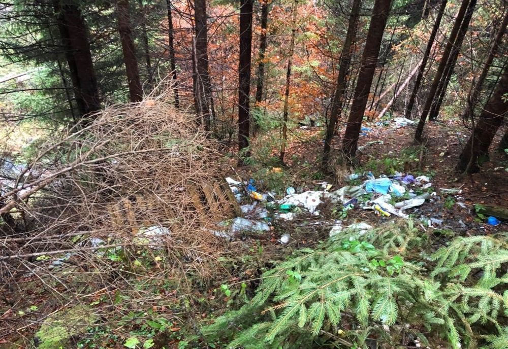 Tășuleasa Social: Să runci gunoaie în natură, una din cele mai toxice și dezgustătoare crime împotriva mediului înconjurător! 60 de voluntari au adunat 10 t de deșeuri de pe 3 km din Via Transilvanica