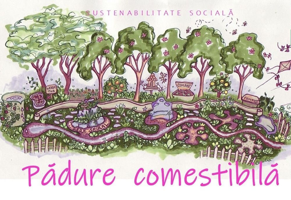 Proiect inedit în Bistrița! Pădurea comestibilă, pusă pe picioare de o asociație și un liceu agricol