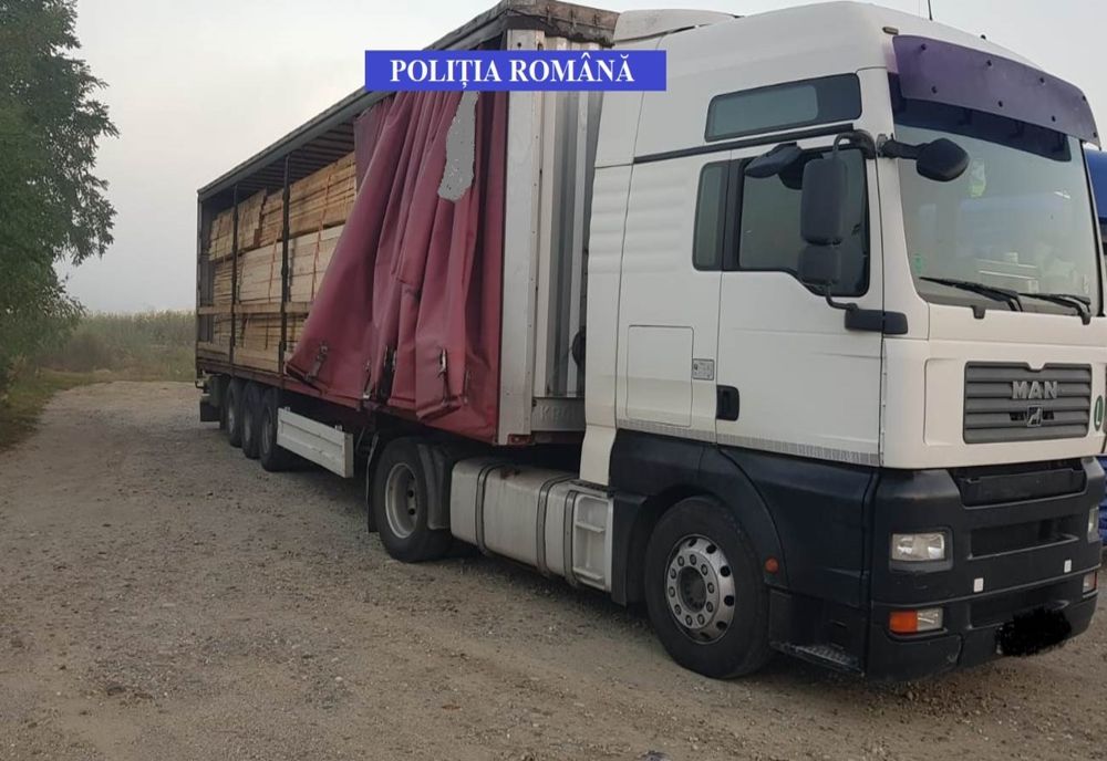 Firmă din Bistrița-Năsăud sancționată usturător pentru transport ilegal de cherestea! Marfa, în valoare de peste 6.400 euro, confiscată